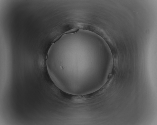 X0000102010331200808011148