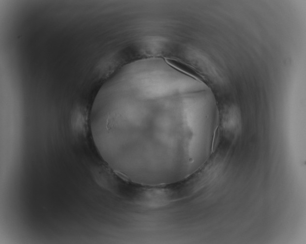 X0000102010332200808011148