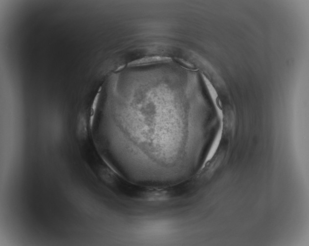 X0000102010333200808011148