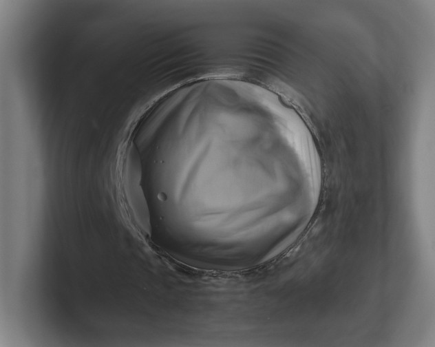 X0000102010337200808011147