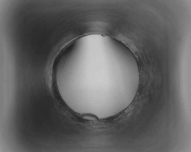 X0000102010338200808011147