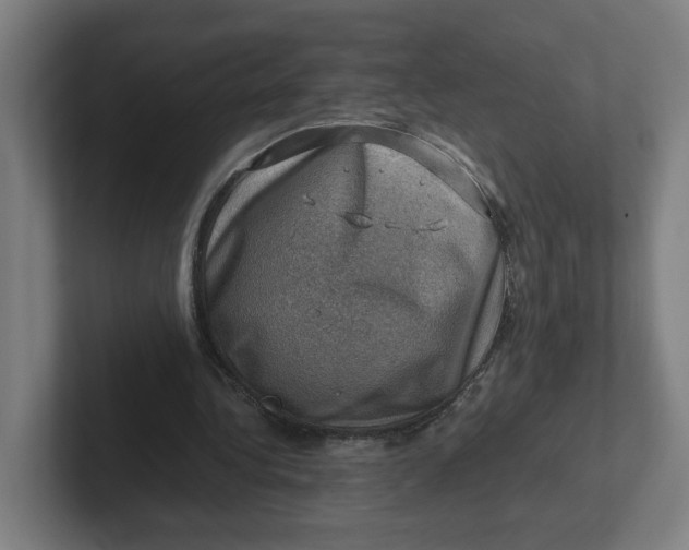 X0000102010340200808011147