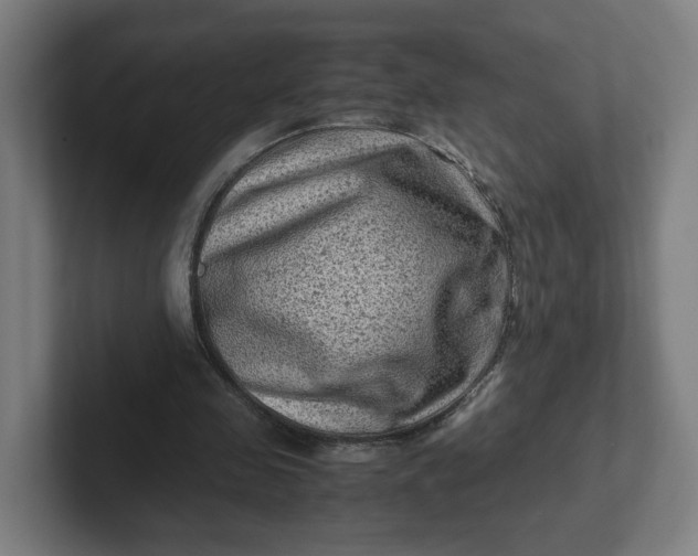 X0000102010341200808011147