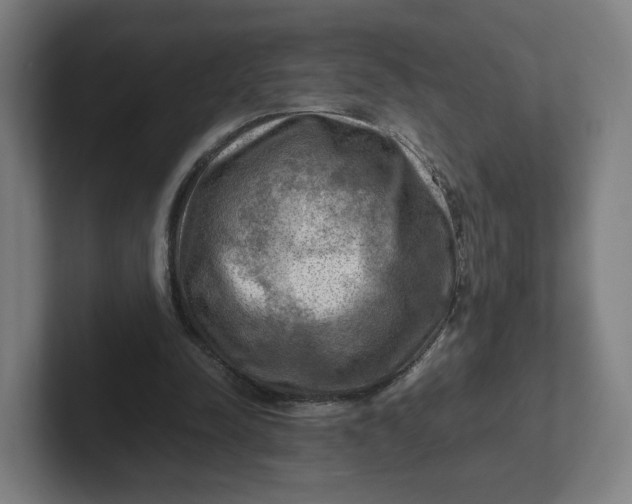 X0000102010342200808011147