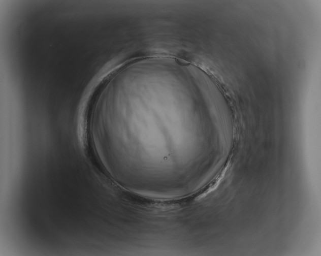 X0000102010343200808011147