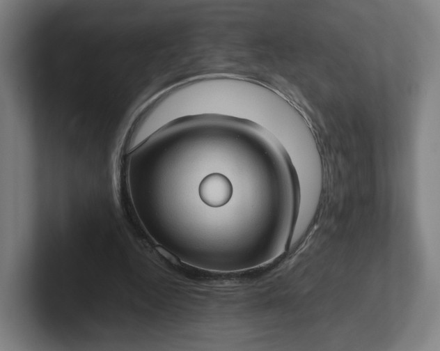 X0000102010344200808011147