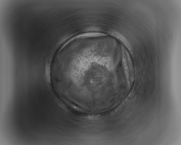 X0000102010345200808011147