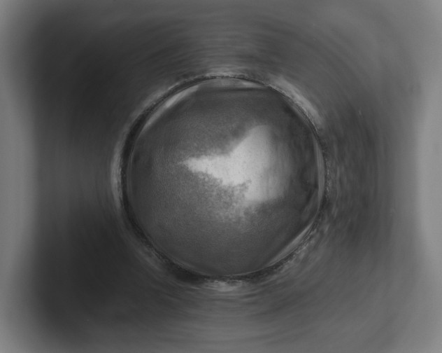 X0000102010346200808011147