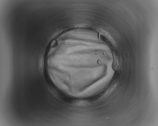 X0000102010348200808011147