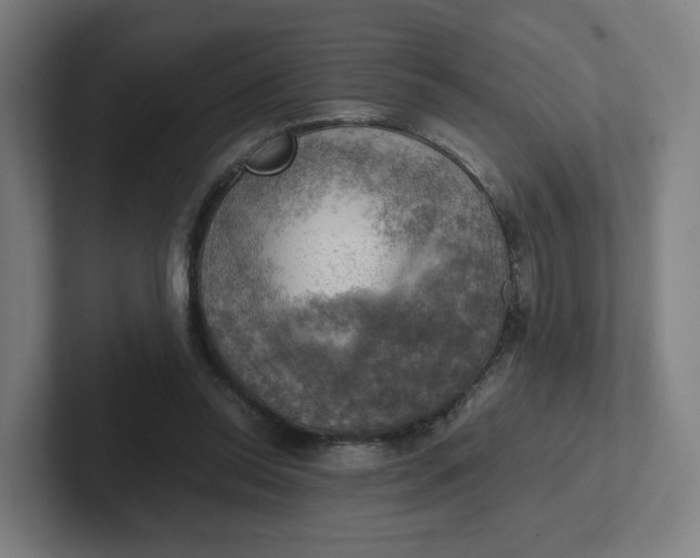 X0000102010350200808011147