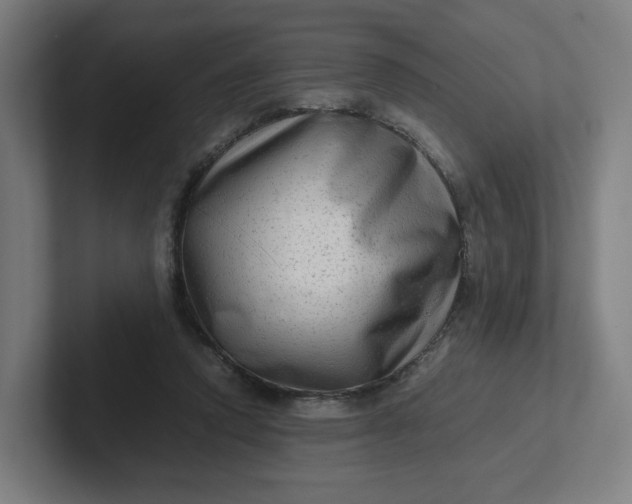 X0000102010354200808011148