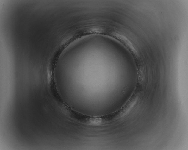 X0000102010355200808011148