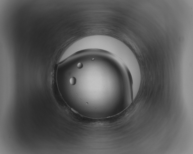 X0000102010356200808011148