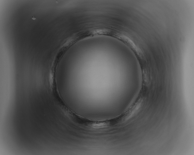 X0000102010357200808011148