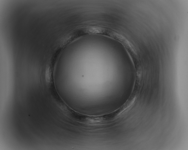 X0000102010359200808011148