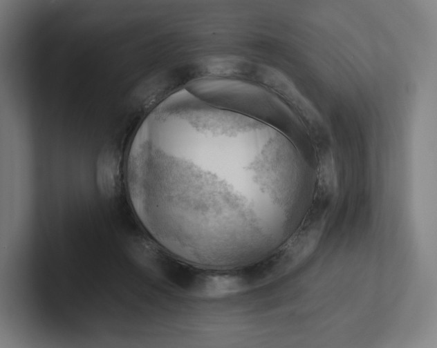 X0000102010360200808011148