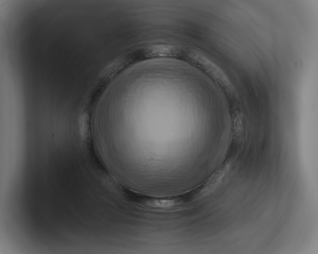 X0000102010361200808011148