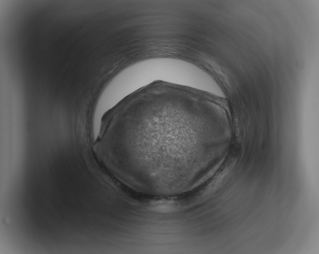 X0000102010362200808011148