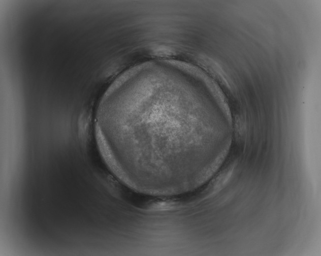 X0000102010364200808011148