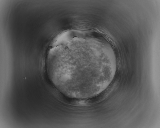 X0000102010365200808011148