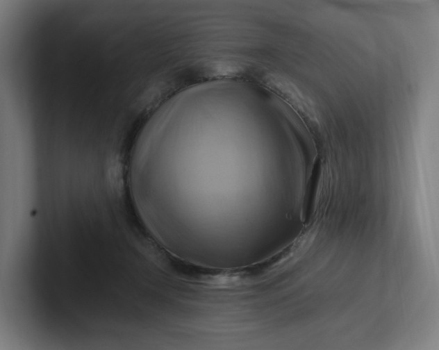 X0000102010366200808011148