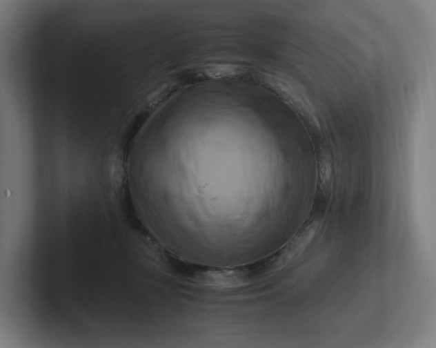 X0000102010367200808011148