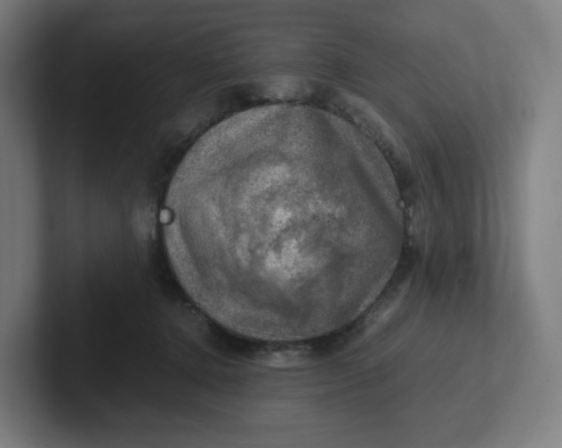 X0000102010368200808011148