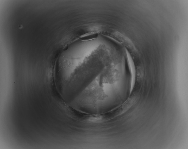 X0000102010369200808011148