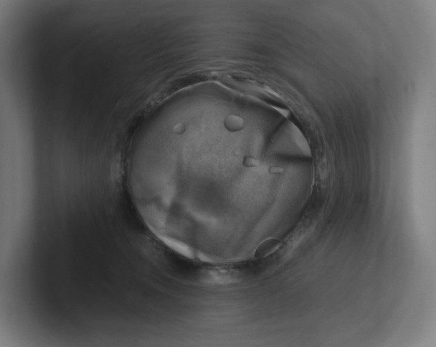 X0000102010372200808011148