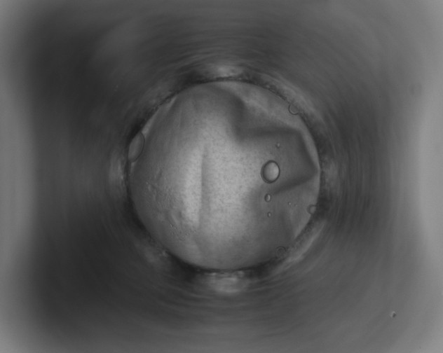 X0000102010373200808011148