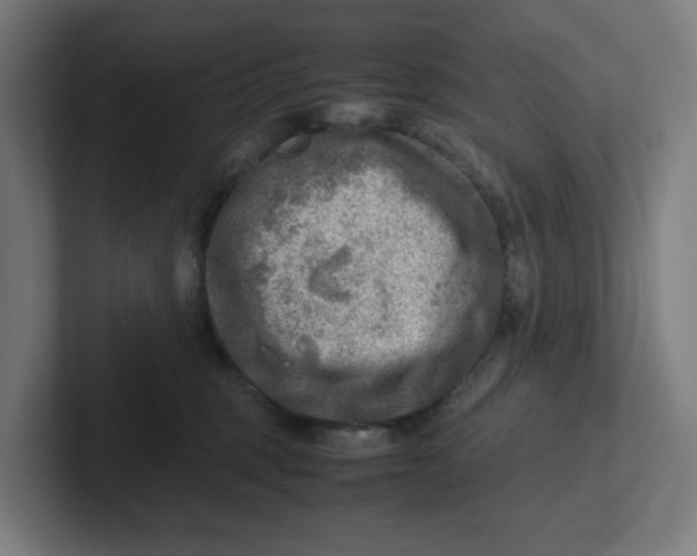 X0000102010375200808011148