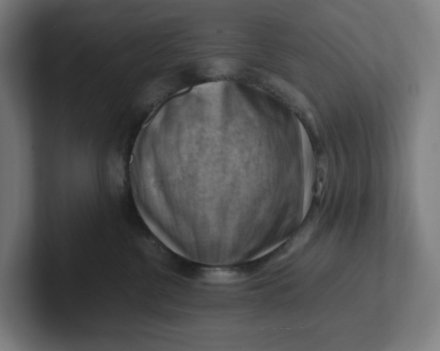 X0000102010380200808011148