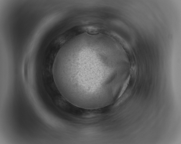 X0000102010381200808011148