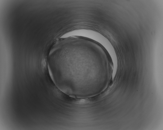 X0000102010382200808011148