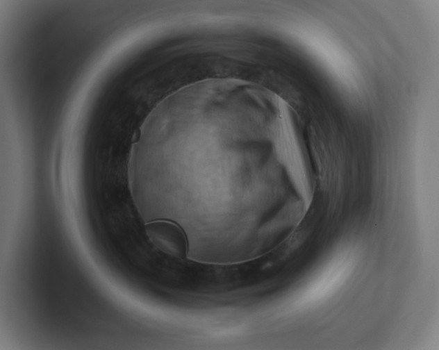 X0000102010383200808011148