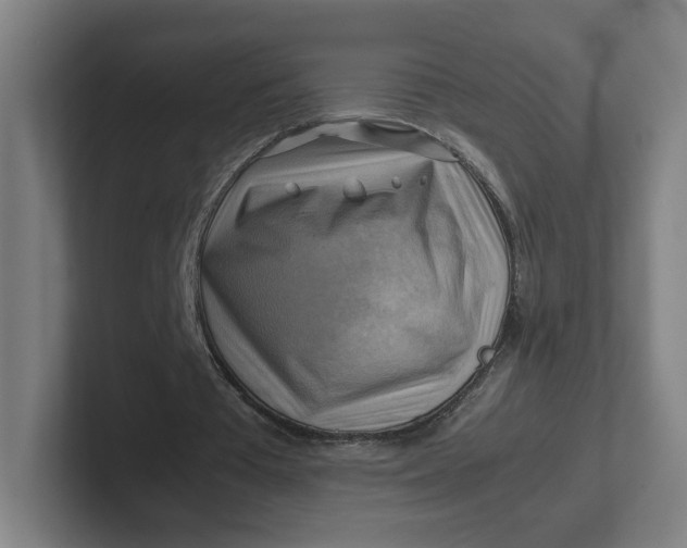 X0000102010385200808011147