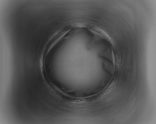 X0000102010386200808011147