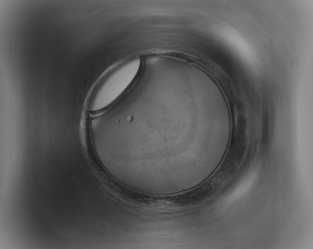 X0000102010387200808011147