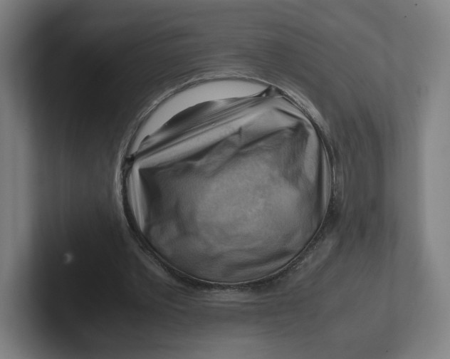 X0000102010389200808011147