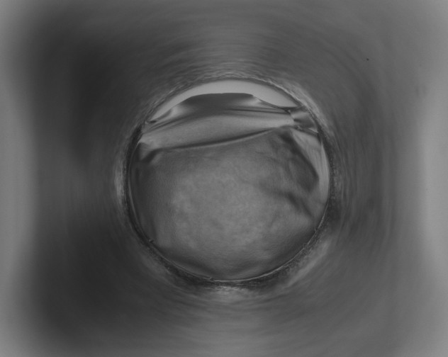 X0000102010393200808011147