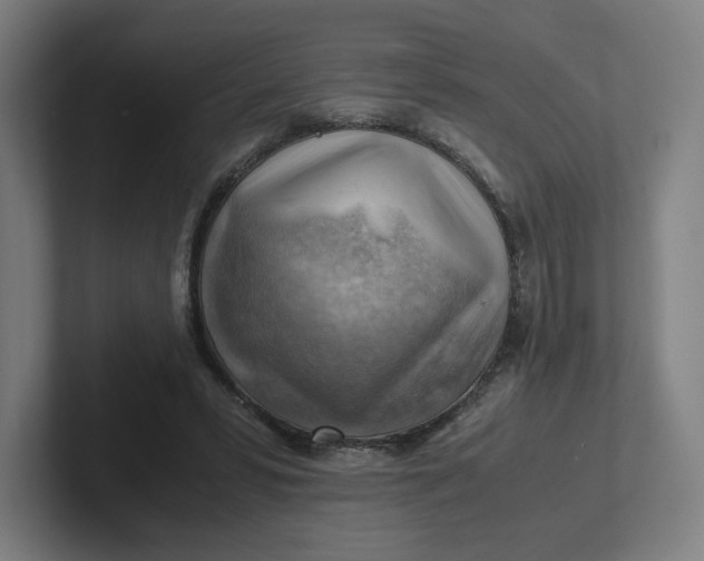 X0000102010399200808011147