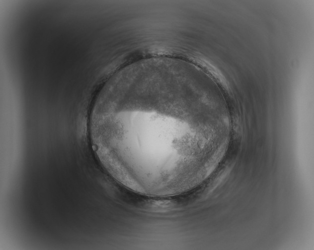 X0000102010401200808011147