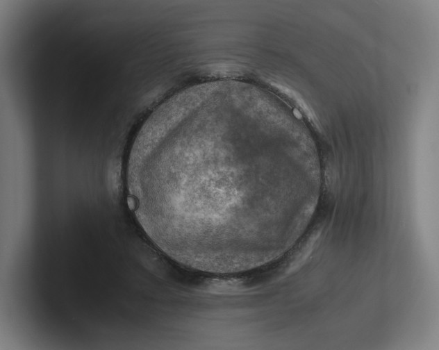 X0000102010403200808011147