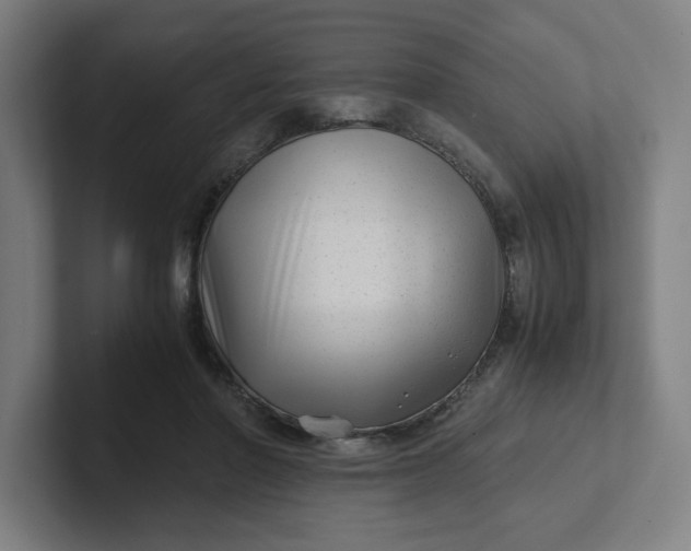 X0000102010406200808011147