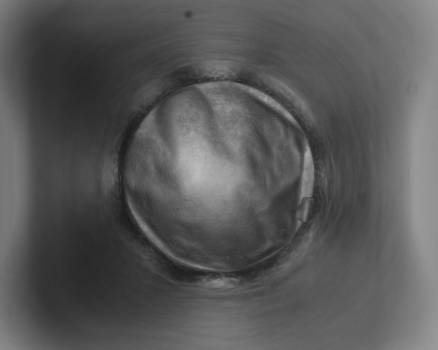 X0000102010407200808011147