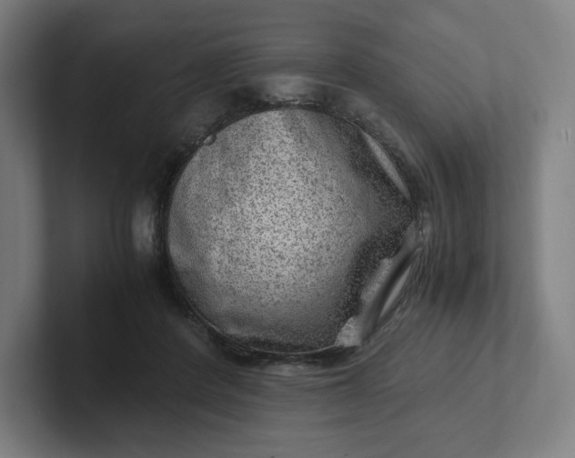 X0000102010408200808011147