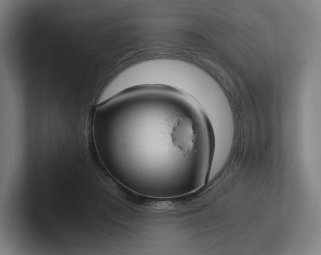 X0000102010409200808011147