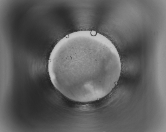 X0000102010411200808011147