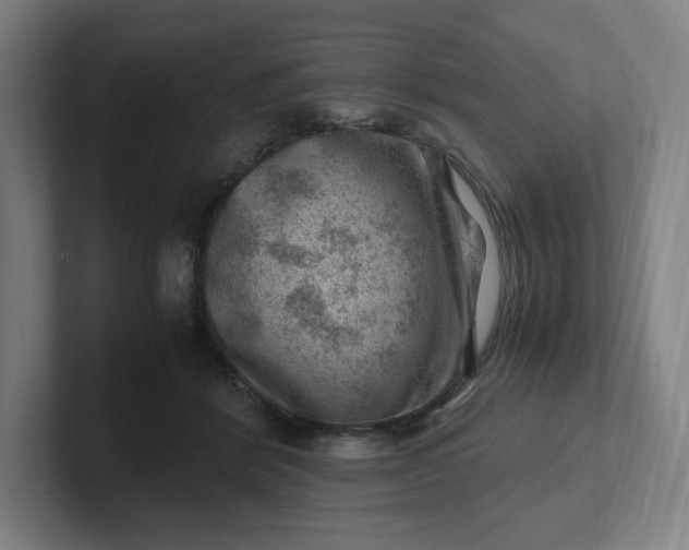 X0000102010412200808011147