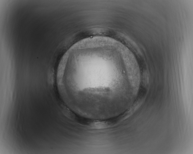 X0000102010413200808011147